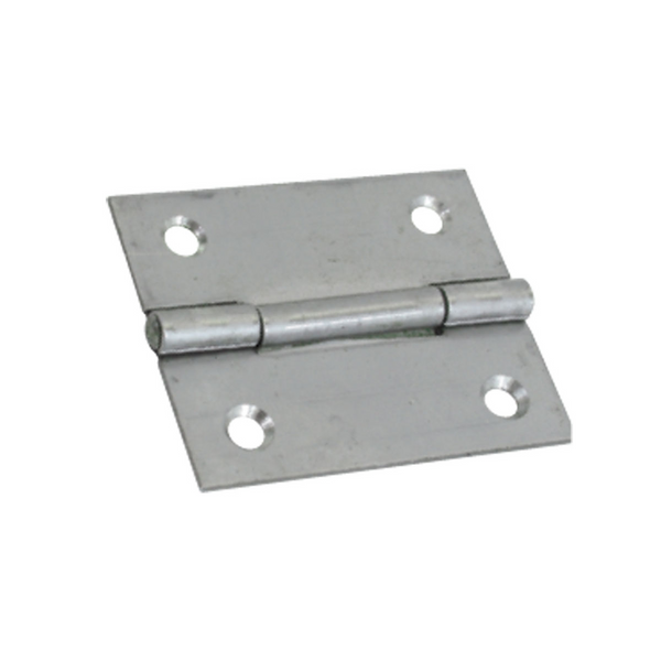 Butt Hinges - Stainless Steel