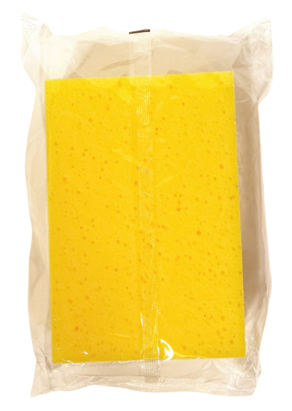 Large Wash Sponge